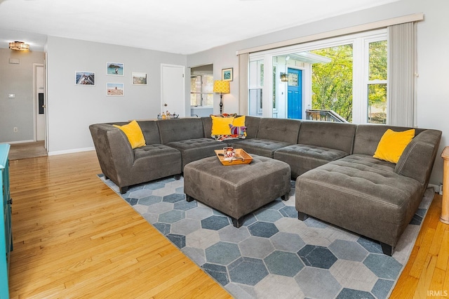 living room with wood-type flooring