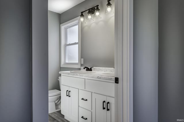 bathroom featuring vanity, hardwood / wood-style flooring, and toilet