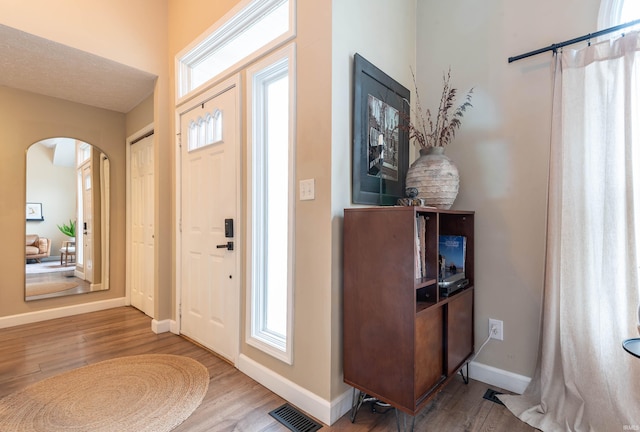 foyer with hardwood / wood-style floors and plenty of natural light