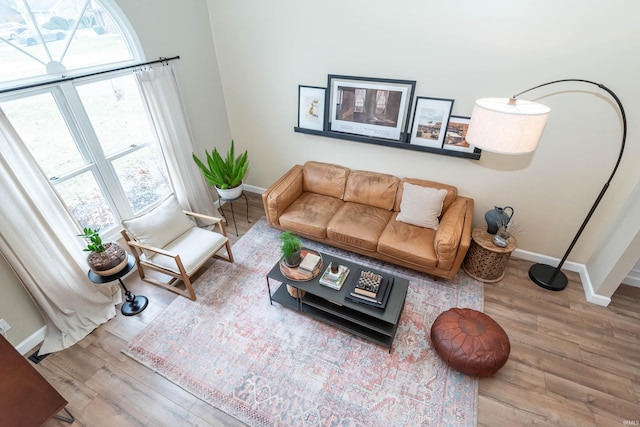 living room featuring light hardwood / wood-style floors