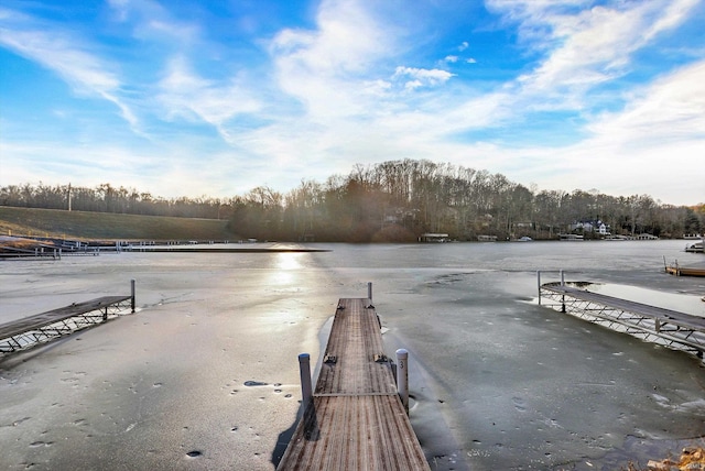 dock area featuring a water view