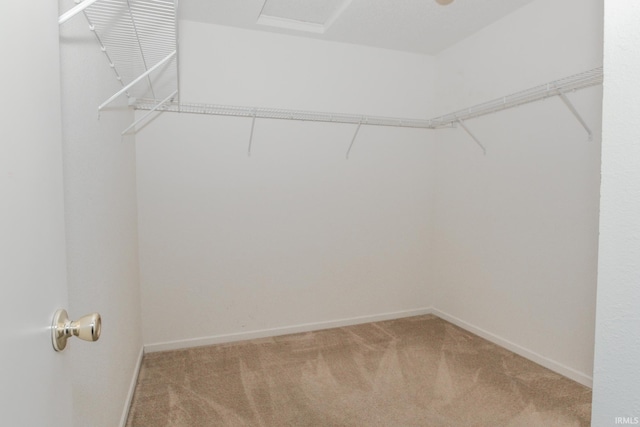 spacious closet with carpet floors