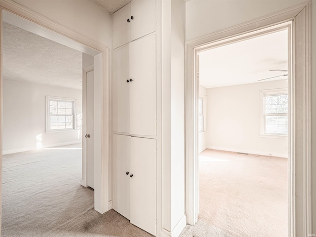 hallway featuring plenty of natural light, carpet floors, and a textured ceiling