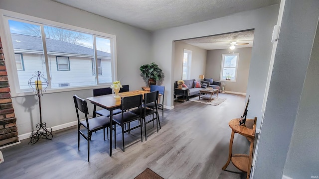 dining room with wood-type flooring, ceiling fan, and a textured ceiling