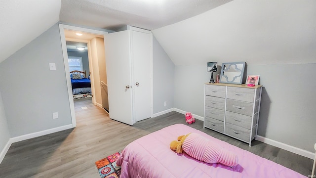 bedroom featuring lofted ceiling and hardwood / wood-style floors