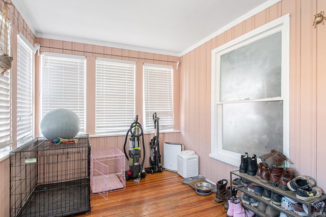 miscellaneous room featuring wood-type flooring, ornamental molding, a healthy amount of sunlight, and wood walls