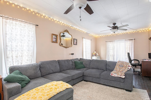 living room with hardwood / wood-style flooring and ceiling fan