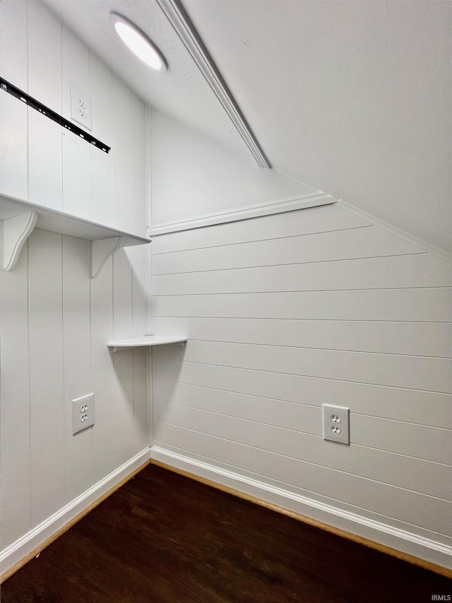 spacious closet featuring dark hardwood / wood-style flooring