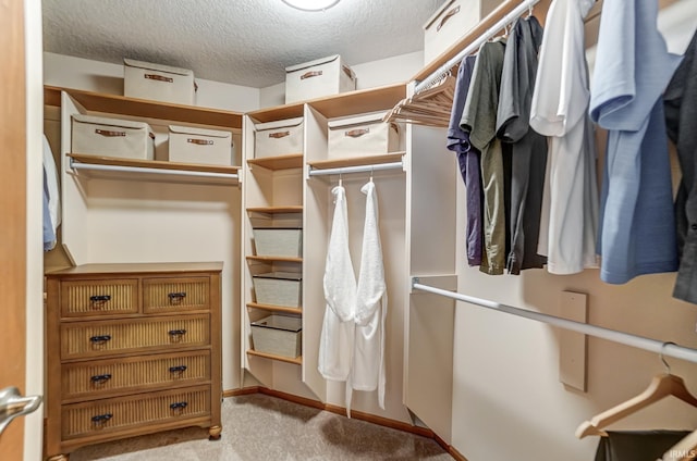 walk in closet with light colored carpet