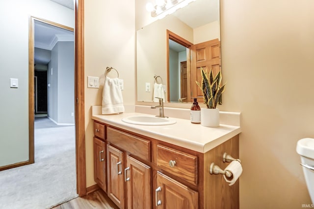 bathroom featuring ornamental molding and vanity