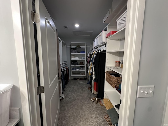 spacious closet featuring carpet