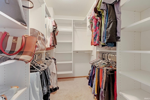 spacious closet featuring carpet