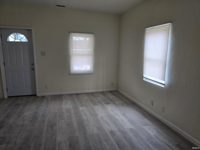 entrance foyer with hardwood / wood-style flooring