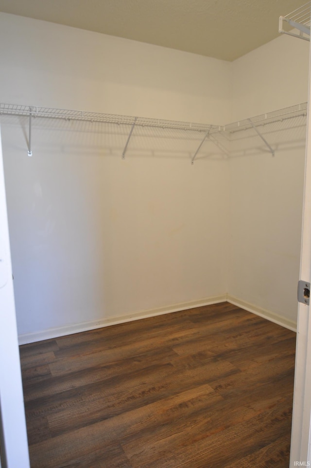 walk in closet featuring dark wood finished floors