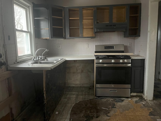 kitchen with sink, stainless steel gas range, and backsplash