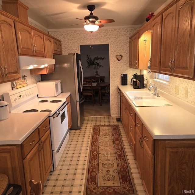 kitchen featuring crown molding, ceiling fan, stainless steel appliances, and sink