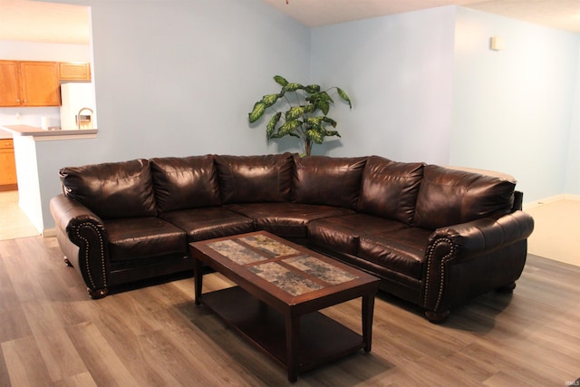 living room with light hardwood / wood-style flooring