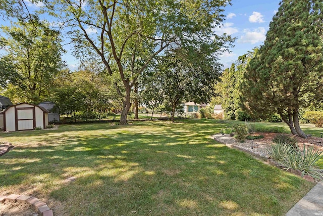 view of yard with a storage shed