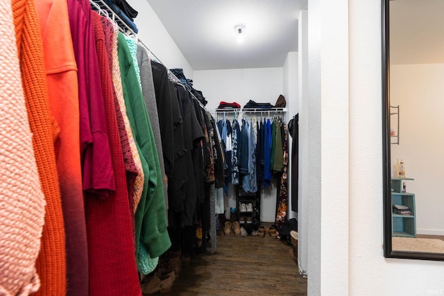 walk in closet with dark hardwood / wood-style flooring