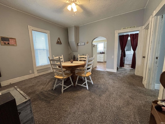 dining room featuring washer / clothes dryer, carpet, and a textured ceiling