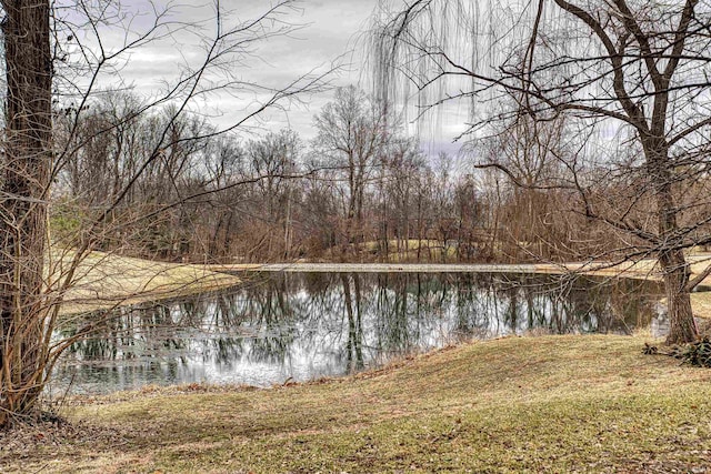 property view of water