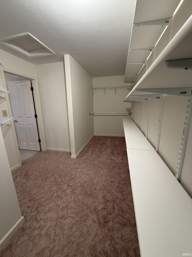 walk in closet with carpet