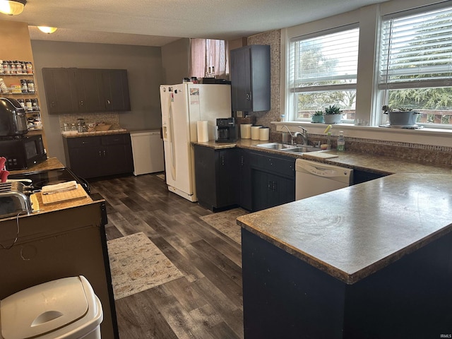 kitchen featuring dark brown cabinetry, sink, dark hardwood / wood-style floors, a wealth of natural light, and white appliances