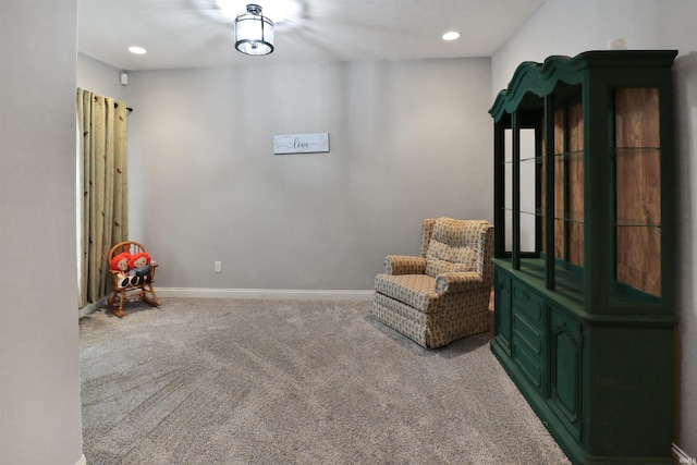 sitting room with carpet floors