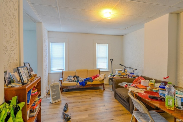 living room with a drop ceiling, light hardwood / wood-style floors, and a healthy amount of sunlight