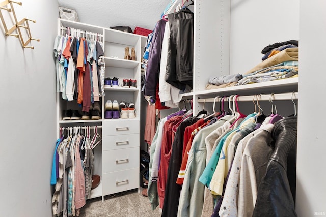 spacious closet with carpet floors