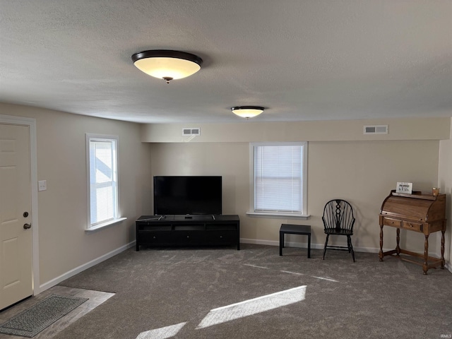 carpeted living room with a textured ceiling