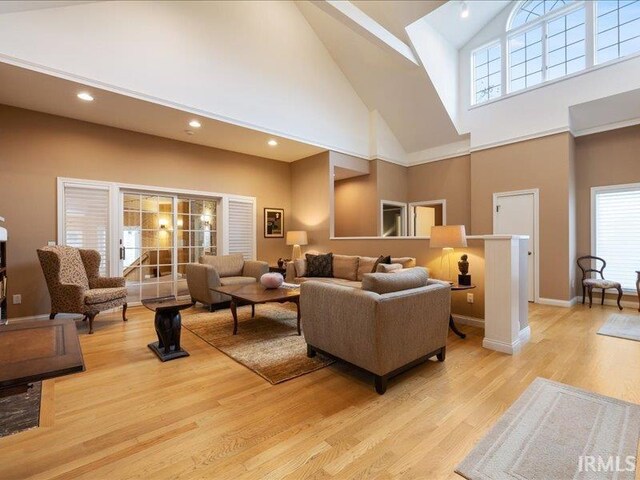 living room with a healthy amount of sunlight, high vaulted ceiling, and light hardwood / wood-style floors