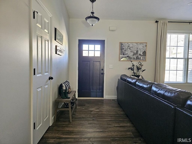 entrance foyer with dark wood-type flooring