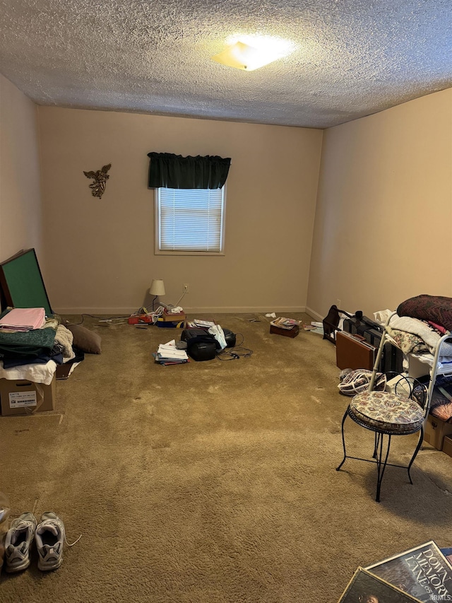 sitting room with carpet and a textured ceiling