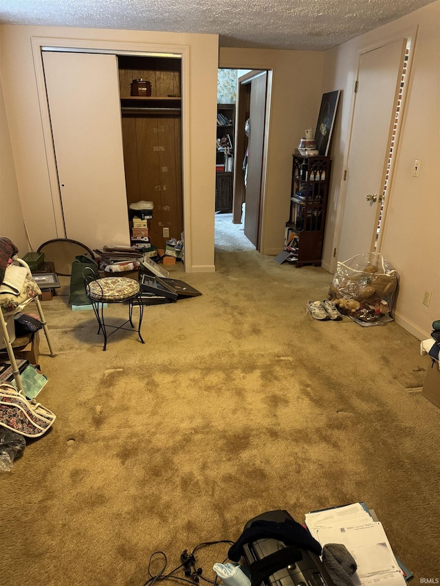 interior space featuring carpet floors and a textured ceiling