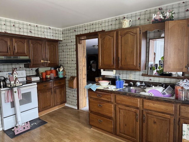 kitchen featuring sink, hardwood / wood-style floors, and white range with electric stovetop