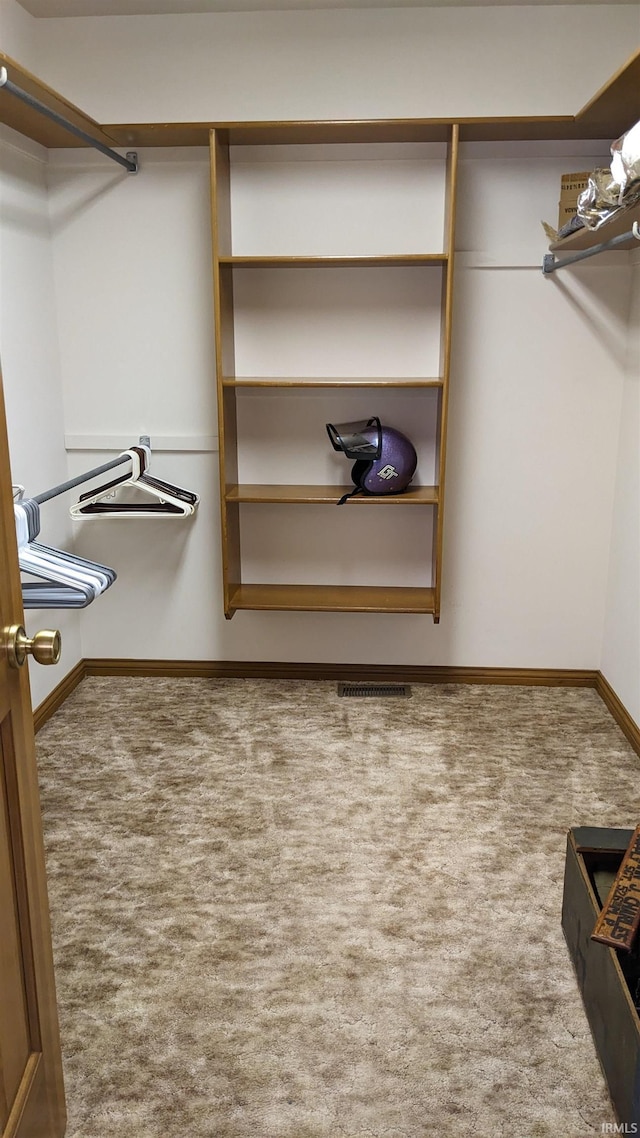 walk in closet featuring carpet flooring