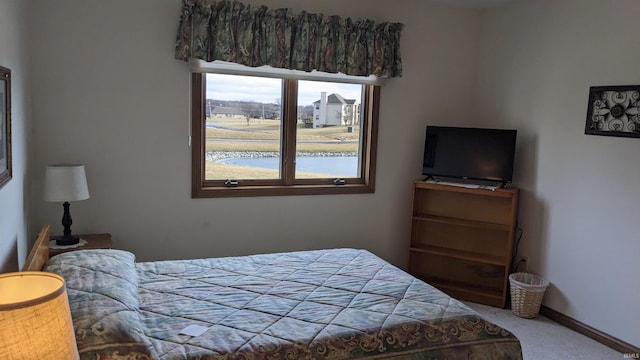 bedroom with carpet floors