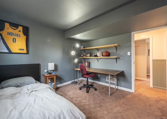 bedroom with carpet flooring