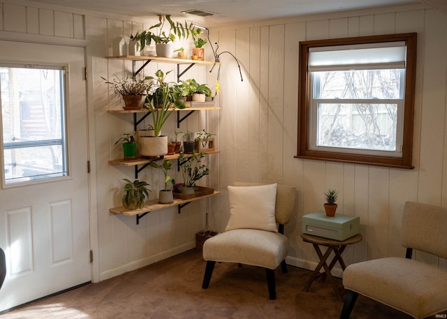 living area featuring carpet floors and a healthy amount of sunlight