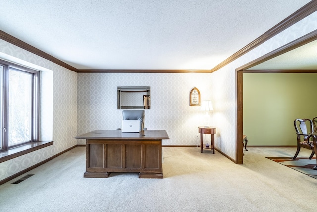 carpeted office space featuring crown molding and a textured ceiling