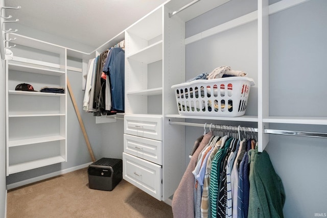 walk in closet featuring light colored carpet