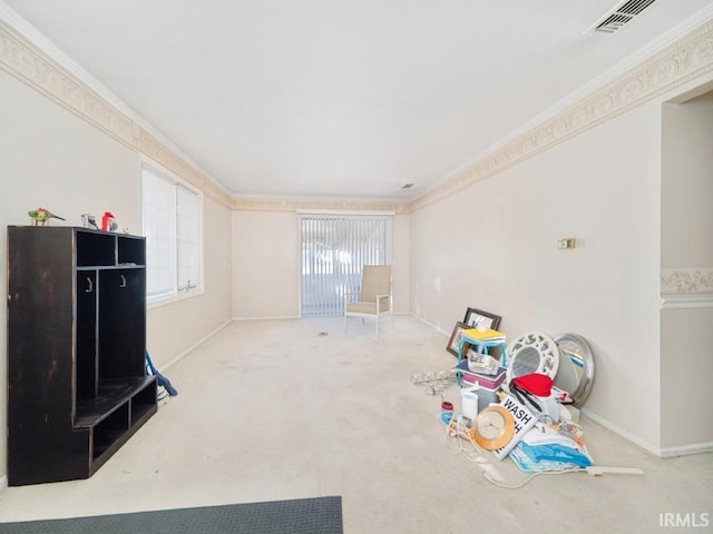 miscellaneous room featuring crown molding and carpet flooring