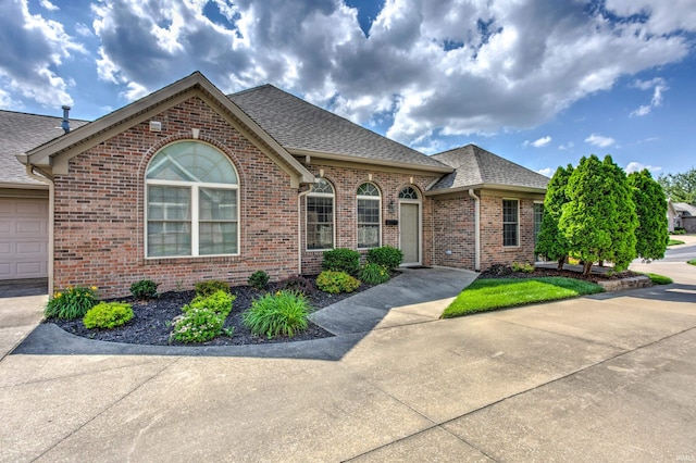 view of front facade with a garage