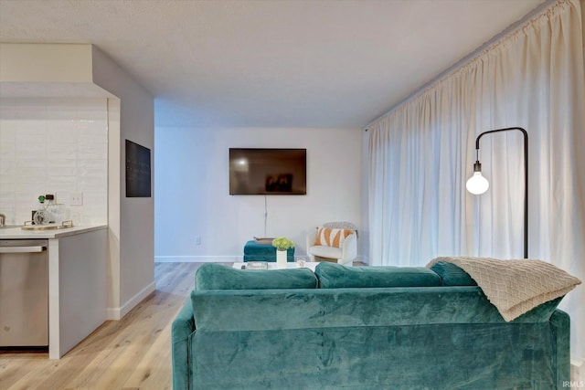 living room featuring light hardwood / wood-style floors