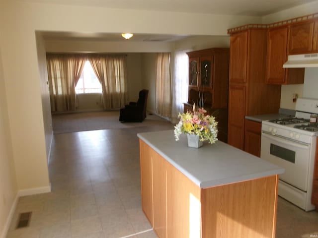 kitchen with white gas range and a kitchen island