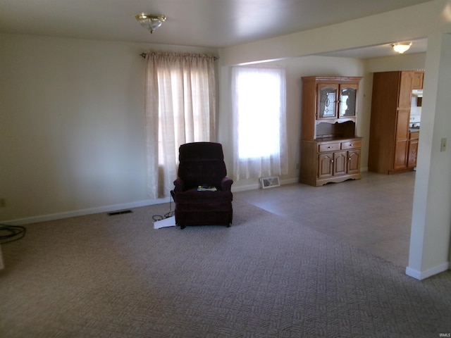 unfurnished room with light carpet