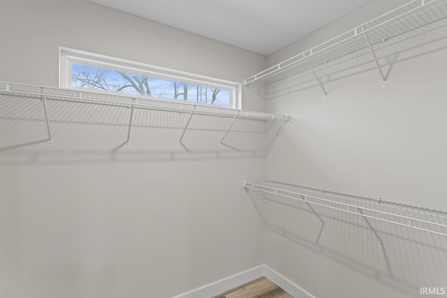 spacious closet with wood-type flooring