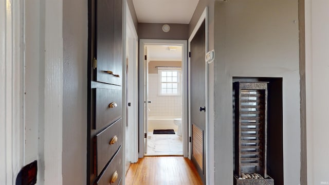 hall featuring light hardwood / wood-style floors