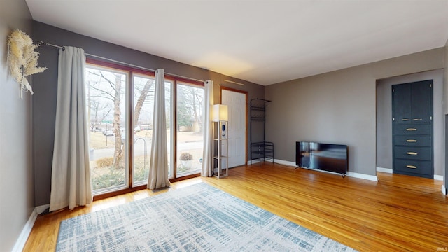 interior space featuring a wealth of natural light and wood-type flooring